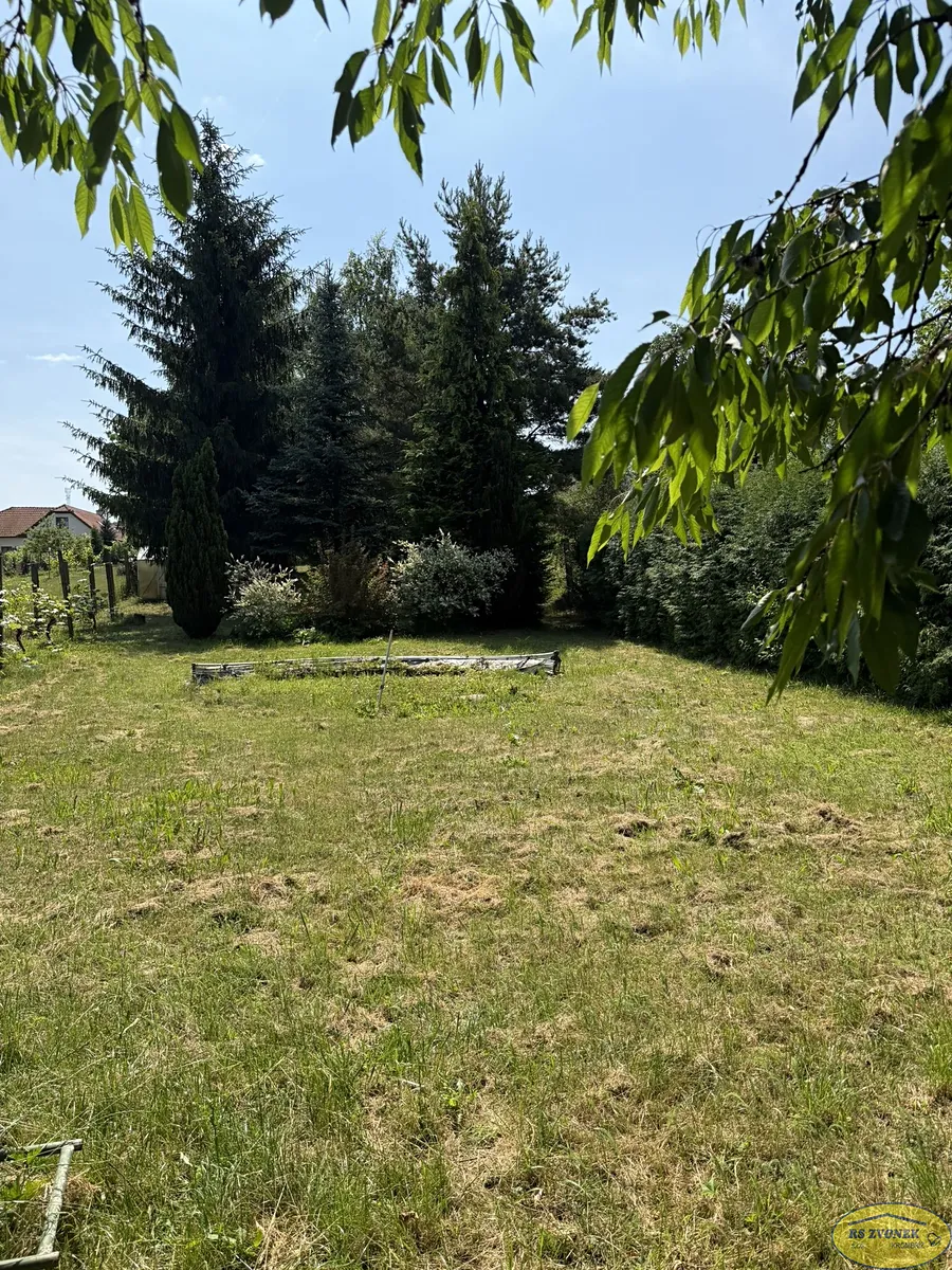 Fotka 12 z 15